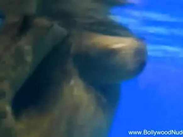 नया प्रेम नृत्य नीली छवि सेक्सी पानी