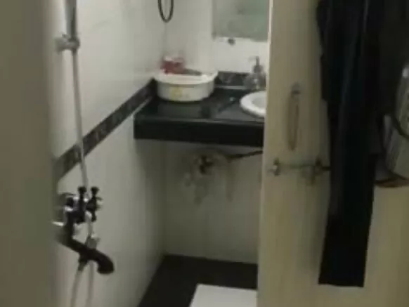 देसी पिल्लाडा सिंट