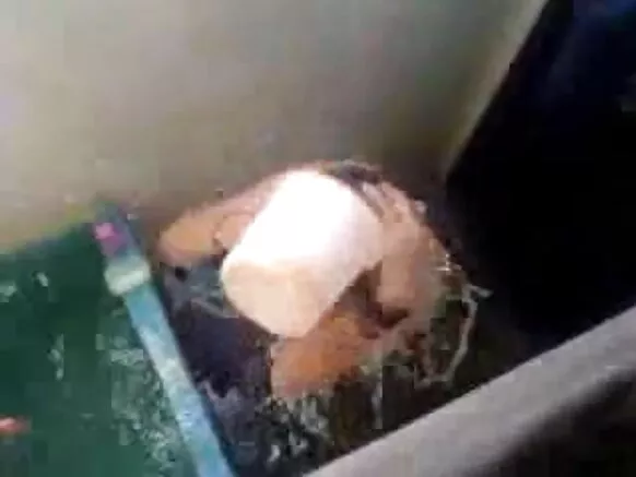 तार बौछार सेक्स मानचित्र तार बौछार