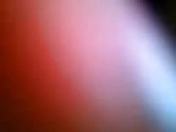 नेपाली