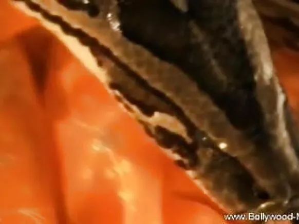 भारत snake bhojpuri movie sex video हॉटी और अविश्वसनीय नर्तकी