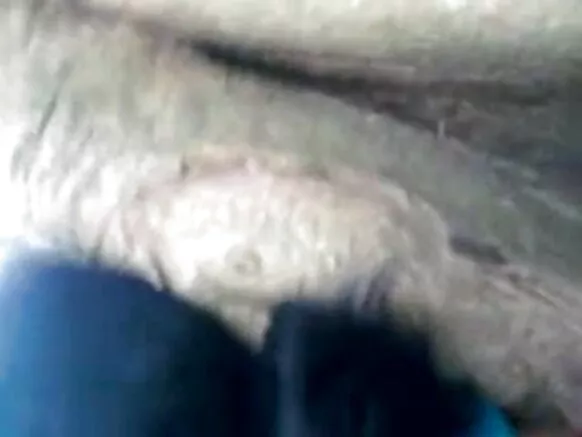 भारत चाची हिन्दी एचडी सेक्सी फिल्म 1335