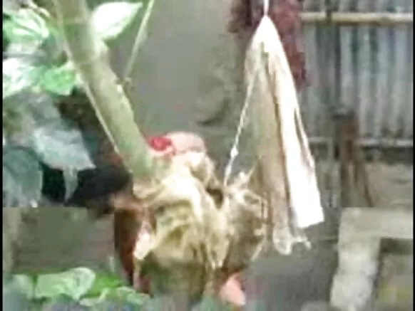 देसी लड़की स्नान देसी आउटडोर सेक्स फिल्म वीडियो आउटडोर