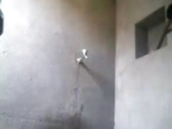 बांग्ला लड़की 29 मोबाइल चचेरे भाई द्वारा छिपा कैमरा देख रहा है सेक्सी वीडियो हिन्दी